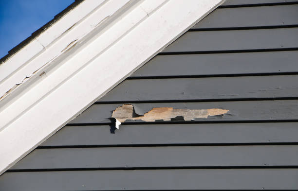 Best Attic Cleanout  in Skidway Lake, MI