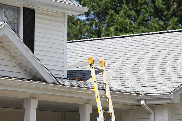 Best Hoarding Cleanup  in Skidway Lake, MI